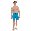 Quiksilver Men's Standard Swimwear Regular Fit Fixed Waist UPF 50
