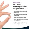 Sea Moss Tablets Extract High Strength 4000mg - Sea Moss