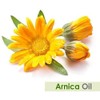 Salvia Arnica (Arnica Montana) Essential Oil by Salvia Bottle 100%