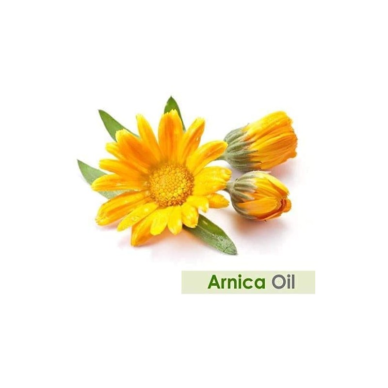 Salvia Arnica (Arnica Montana) Essential Oil by Salvia Bottle 100%
