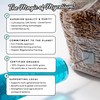 Mycelium's White Oyster Gourmet Mushroom Kit | 8LBS Oak and