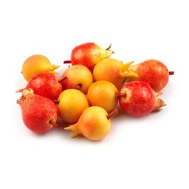 MyTinyWorld 6 x Dolls House Miniature Handmade Pomegranates