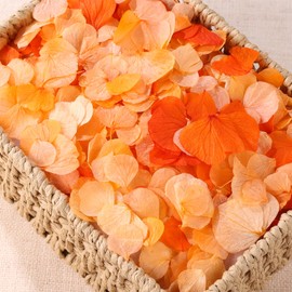 VAIPI 2500 PCS Burnt Orange Hydrangea Petals for Fall Wedding Decor 100% Natural Real Flower Petals for Wedding Aisle Ceremony Romantic Night Engagement Party Flower Girl Baskets Table Centerpiece