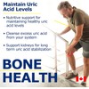 Promise Uric Clear- Uric Acid Cleanse & Gout Reducer -