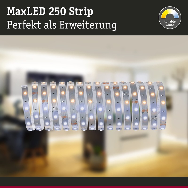 Paulmann 79863 LED Strip MaxLED 250 Tunable White 5 m