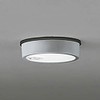 ODELIC Outdoor Exterior LED Thin Eve Ceiling FLAT PLATE (Flat