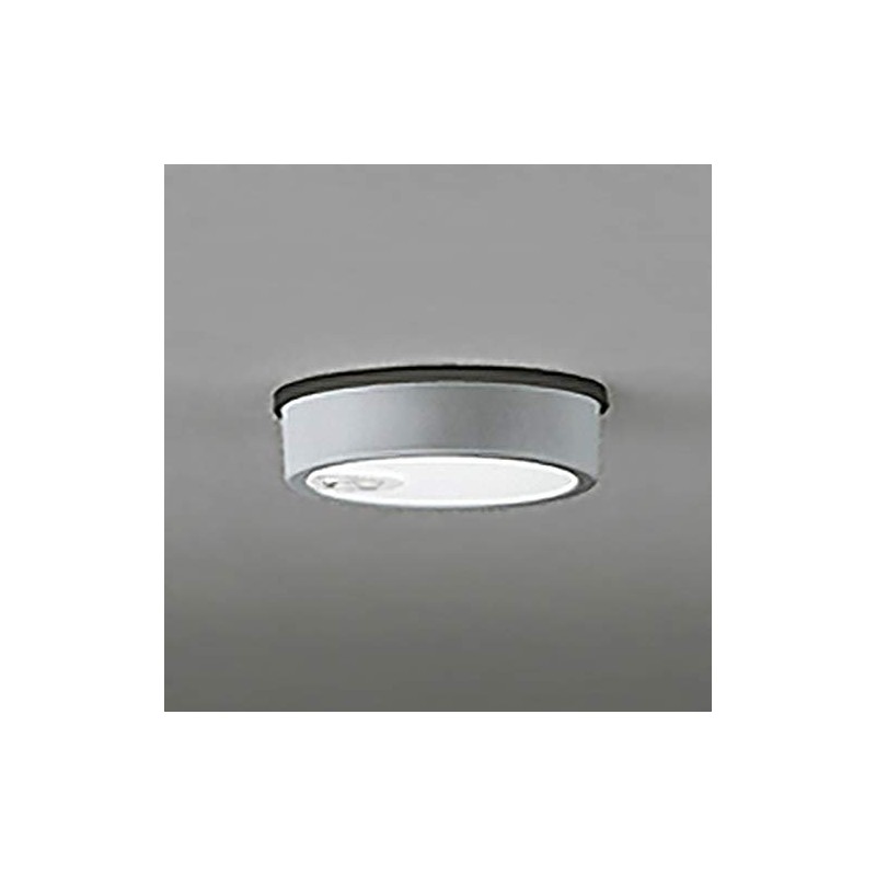ODELIC Outdoor Exterior LED Thin Eve Ceiling FLAT PLATE (Flat