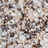 15g Mixed Colours Size Flat Back Pearls Cabochons Decoden 2mm