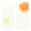 Midori 89568006 Single Pencil Notebook, Autumn Letter, 4 Patterns, Dahlia
