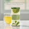 The Republic of Tea Polvo orgánico para té matcha