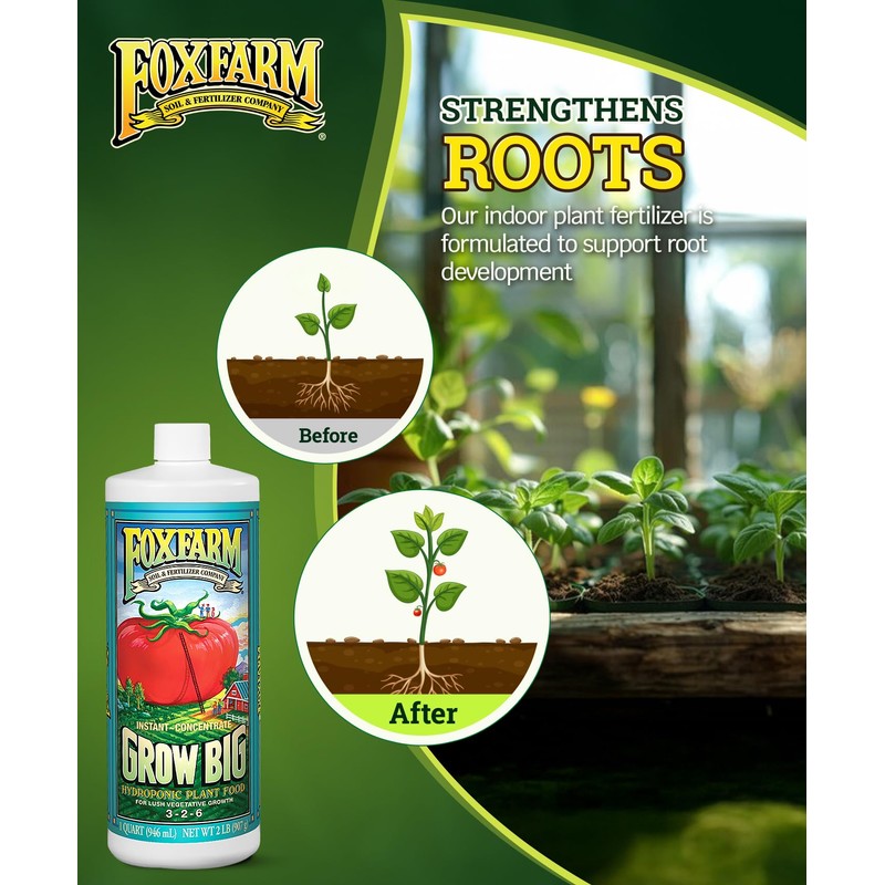 FoxFarm Grow Big Hydro Liquid Fertilizer, Plant Food with Micro