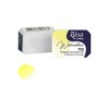 Professional Watercolour Paint 2.5ml Half Tin