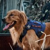 OneTigris Tactical Dog Harness Vest,No-Pull Service Dog Vest with Hook