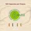 Niacina Vitamina B2 Zinc Selenio 120 Cápsulas Raíces Zen Super