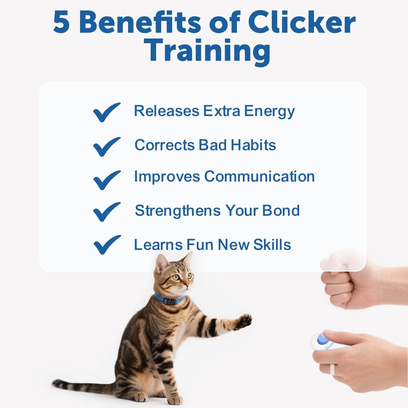 Cat Training Clicker Kit – Includes Finger Clicker and Target