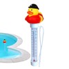 Pool Thermometers Floating Easy Read,Duck Thermometers for Water Temperature |