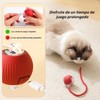 Chewie Ball – Juguete interactivo para gatos con 3 modos