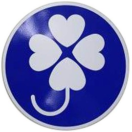 Physically Disabled Mark Indoor