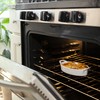 Oval Au Gratin Baking Dishes for Oven Safe and Microwave