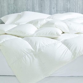 Cuddledown Dreamstead All Season Comforter | 550 Fill Power - Duck Down and Down Alternative Blend | 235 Thread Count 100% Cotton Percale Shell | Duvet Insert | Hypoallergenic | Twin