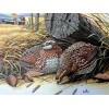 Don Balke BOBWHITE QUAIL (Masterpiece-1