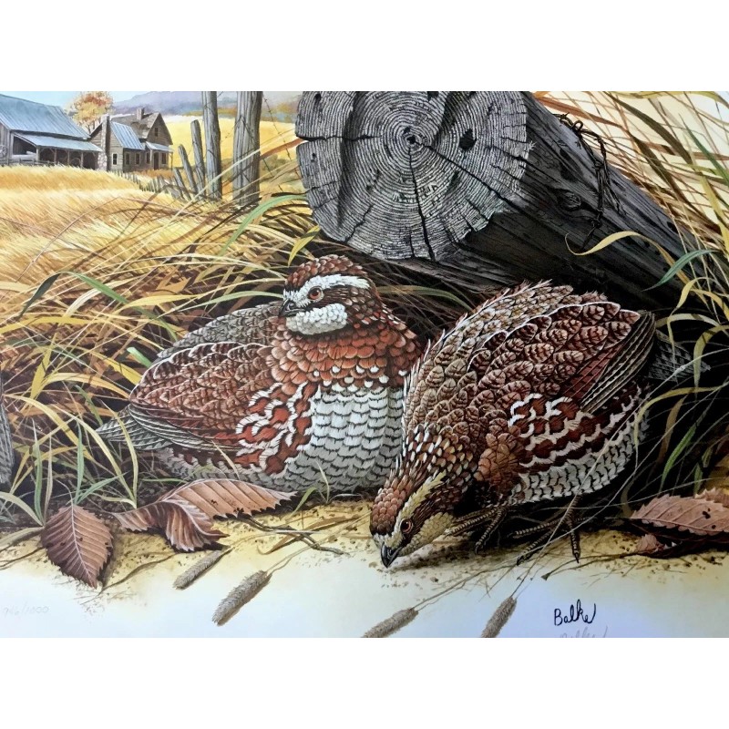 Don Balke BOBWHITE QUAIL (Masterpiece-1