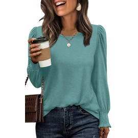 Womens Shirts Dressy Casual Long Sleeve Fall Outfits for Women 2025 Work Tops Womens Business Casual Clothing Greyblue M