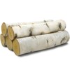Wilson Birch Fireplace Large Log Set (5 Logs: 3''-5'' Dia.