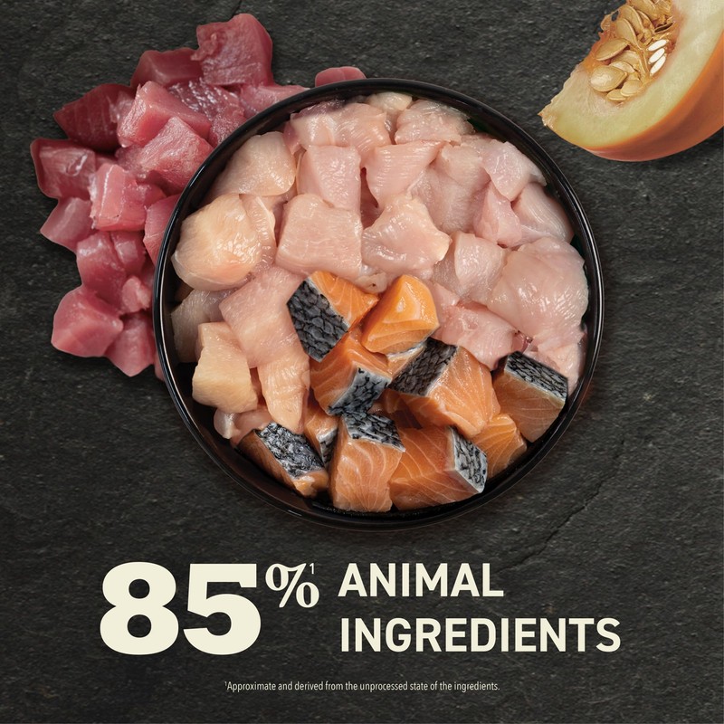 ACANA Premium Pate Wet Cat Food in Bone Broth Variety