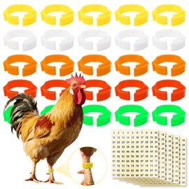 Pack of 100 chicken rings, poultry foot rings, plastic poultry leg rings, chicken leg rings, multi-coloured chicken identification leg bands poultry leg rings for turkey, duck, goose (14 mm - 22 mm)