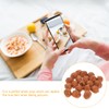 Healifty 20 X Mini Walnut Model Realistic Walnut Design Light