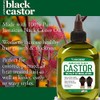 Hair Chemist Estimulador de cuero cabelludo de aceite de ricino