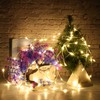32.8ft 24V String Lights 100LED IP44 Warm Color for Garden