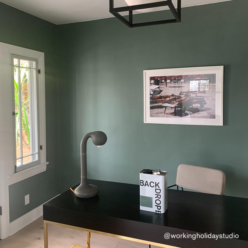 BACKDROP | Premium Interior Paint | Large Adhesive Paint Swatch