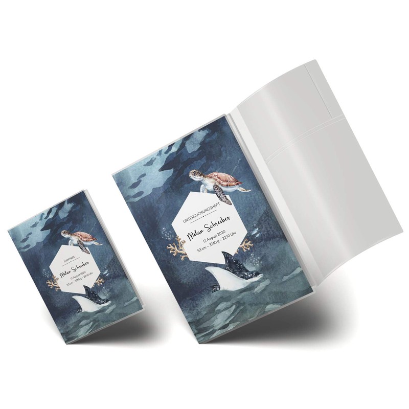 OLGS Examination Book and Vaccination Certificate Cover Set with Personalisation,