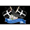 Cornwall, Cornish Chough, Crossed Flag Sticker, Truck, Car, Motorhome, Van,