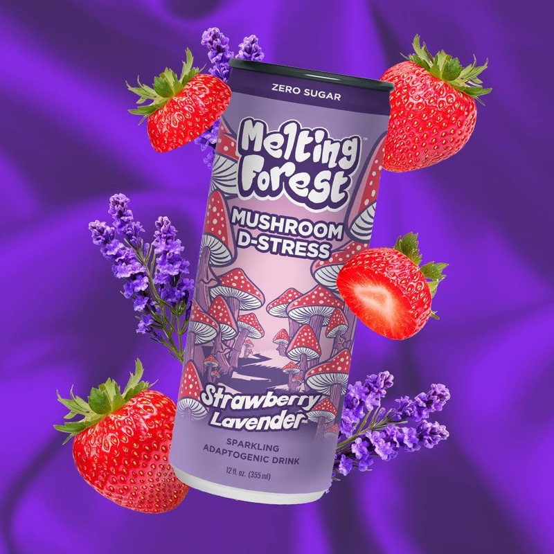 Melting Forest Mushroom D-Stress, Sparkling Adaptogen Drink with L-Theanine, Lion's