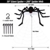 200" Halloween Spider Web & 59" Giant Spider Decorations