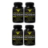 Absonutrix Fucoidan Pure 4 Absonutrix Fucoidan Atlantic Brown Seaweed 500