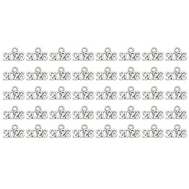 Shapenty Mini 2026 Charms Metal Year Signet 2026 DIY Pendant Charm Accessory Bulk for Bracelet Necklace Earring Keychain Craft Jewelry Making Christmas Graduation Party Decor, 40PCS (Silver)