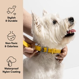 Wild One Dog Collar, The Original Easy-Clean, All Weather Flex-Poly Strap with Metal, Durable, Dirt and Odor Resistant, Size S, Butter Yellow