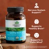 ORGANIC INDIA Gotu Kola Herbal Supplement - Adaptogen for Brain