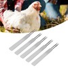 50Pcs Chicken Poultry Double Needle Thorn Pox Needle Chicken Vaccination