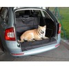 COMPASS 04140 Car Boot Protector for Dogs