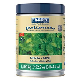 Fabbri Delipaste Mint, Flavoring Compound for Gelato, Ice Cream, Soft Serve, Pastry and Confectionary - 1 Tin of 3.3 lb