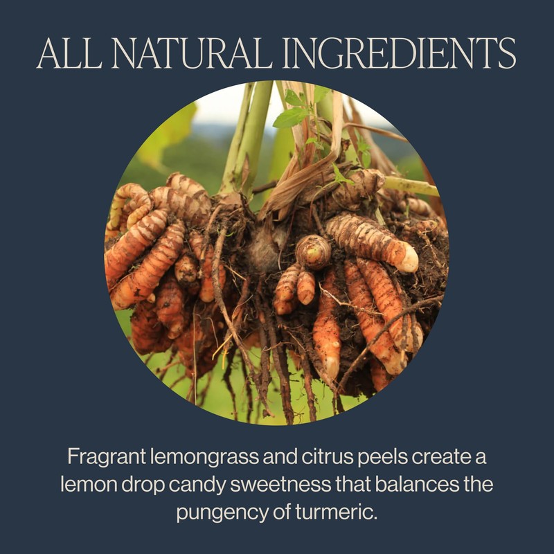 Rishi Tea Turmeric Ginger Herbal Tea - Organic Sachet Bags,