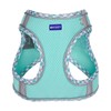 BTDCFY Step in Mesh Dog Harness and Leash Set Breathable