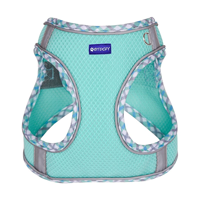 BTDCFY Step in Mesh Dog Harness and Leash Set Breathable