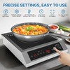 SUNVIVIPRO Commercial Electric Induction Cooktop, 1800W Induction Hot Plate, 10