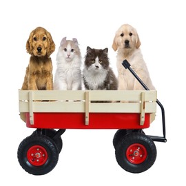 Wooden railings ，Children Kids' Pull-Along Wagons， Outdoor Garden carts (red)